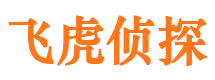 宣化侦探公司